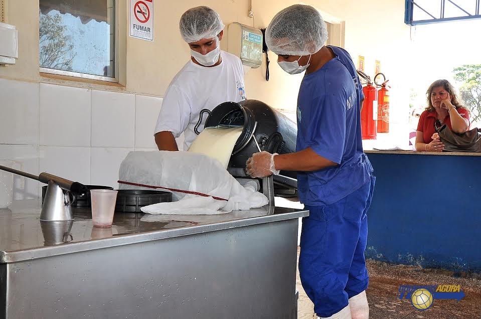 Tecnologia fortalece setor leiteiro em Dourados