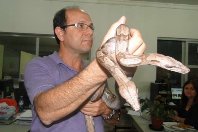 Criar cobra pode render R$ 8 mil/mês