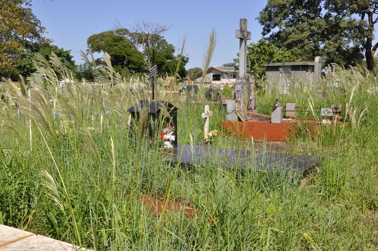 Túmulos ‘desaparecem’ em meio ao matagal nos cemitérios públicos