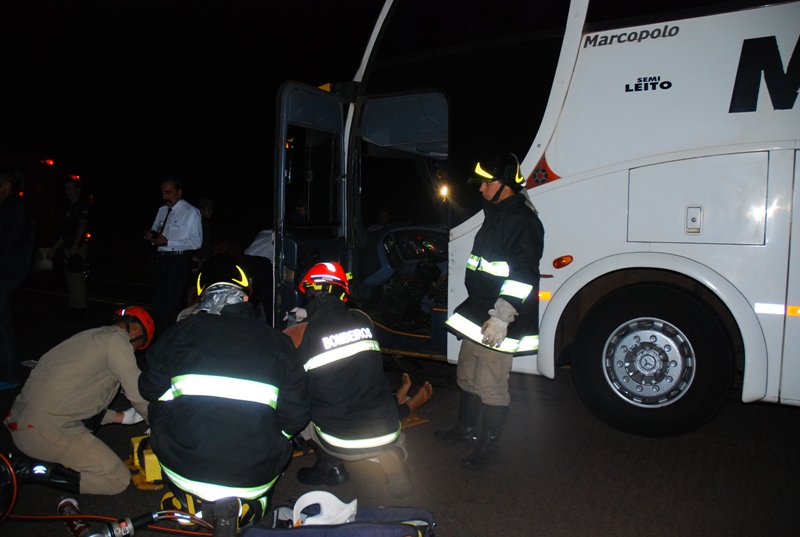 Ônibus com 29 passageiros colide com vacas na BR-267