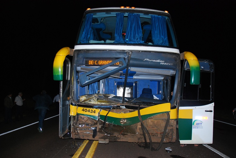 Ônibus com 29 passageiros colide com vacas na BR-267