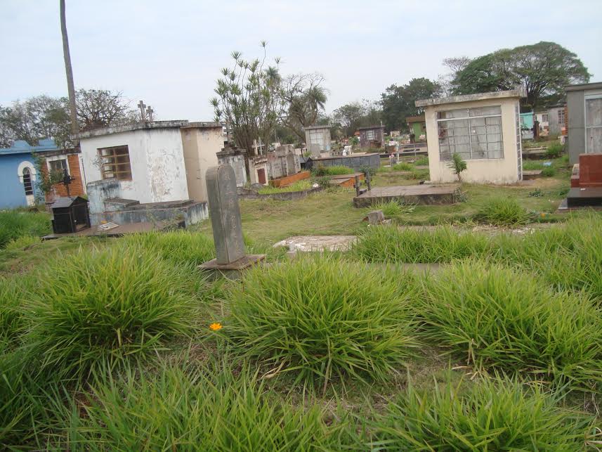Mato, cupins e formigas tomam conta dos cemitérios municipais
