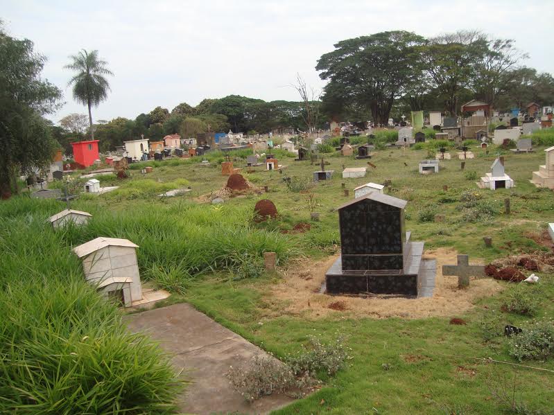 Mato, cupins e formigas tomam conta dos cemitérios municipais
