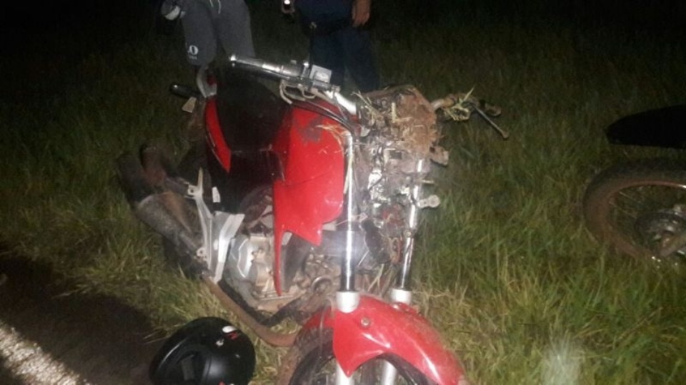 Motociclista bate em vaca e morre na MS-147