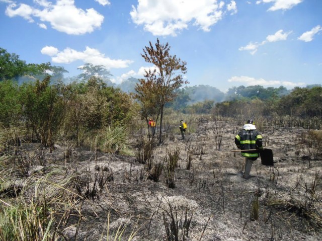 Incêndio atinge área ambiental no Jardim Clímax e proximidades