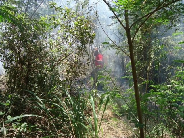 Incêndio atinge área ambiental no Jardim Clímax e proximidades