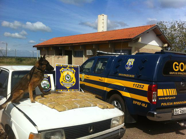 Cão farejou a droga escondida no veículo. (Foto; Divulgação/PRF)