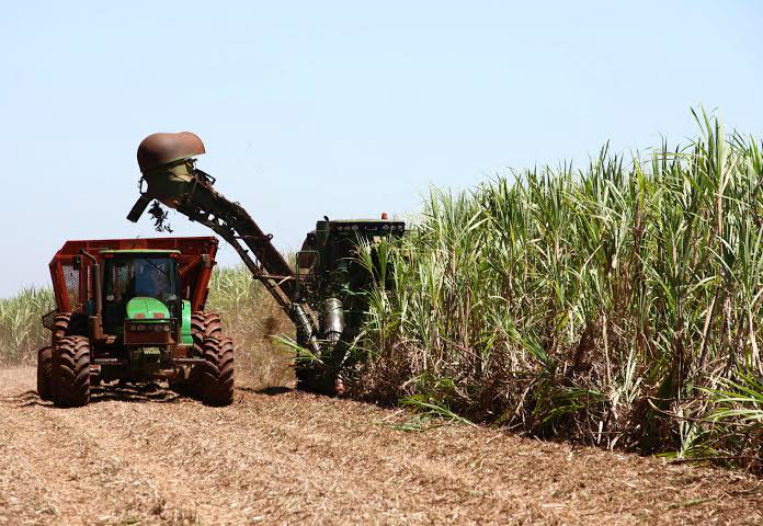 Tecnologia para a produção do etanol a partir da palha e bagaço da cana de açúcar será apresentada em DouradosFoto: Divulgação