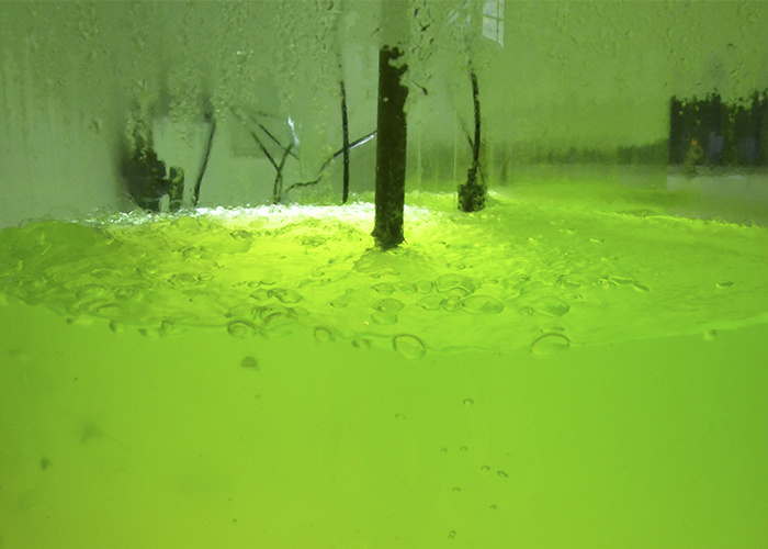 Microalgas utilizam luz para realizar fotossíntese - Foto: Vivian Chies