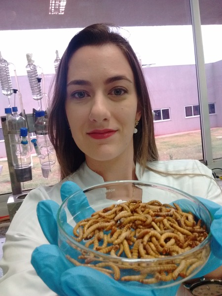 Insetos comestíveis integra pesquisa da doutoranda Ariana Vieira Alves