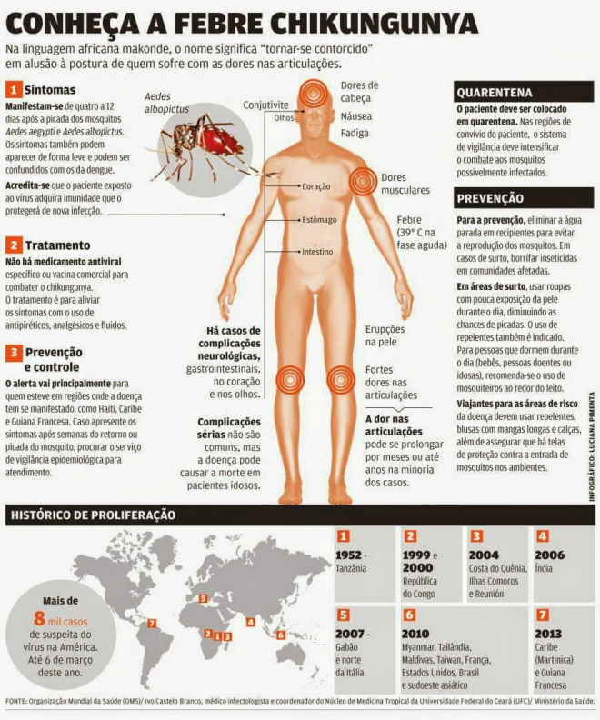 Chuva e calor multiplicam risco de chikungunya; Dourados registra 3 casos
