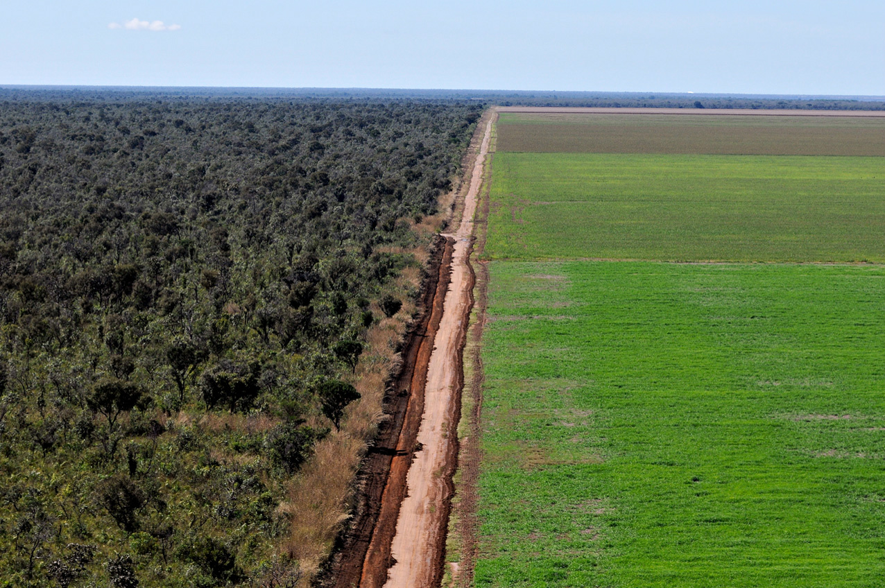 Segundo Scaramuzza, a observância ao Código Florestal evita a erosão dos solos e os deslizamentos de terra, protege as nascentes e os rios, fundamentais para a agricultura.Adriano Gambarini / WWF-Brasil