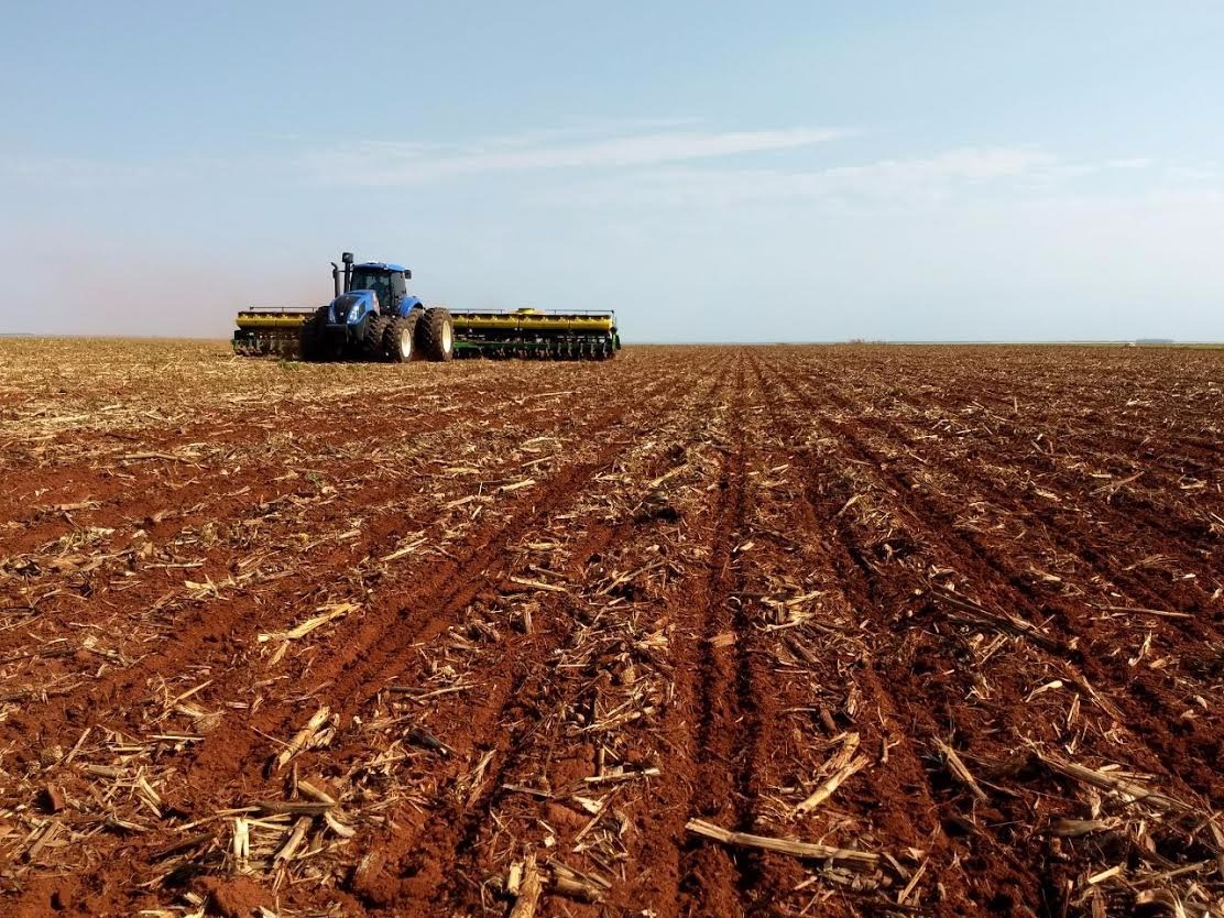 Mato Grosso do Sul semeou 43% das lavouras de soja