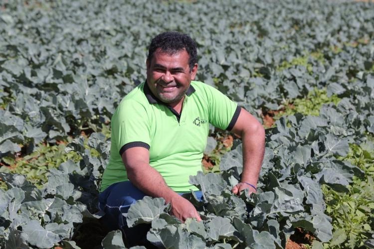 Dinho Souto / Ascom Sead / Francisco de Sousa, de 50 anos, é produtor no Núcleo Rural Rio Preto e produz hortifrúti e vende para o Pnae desde 2014