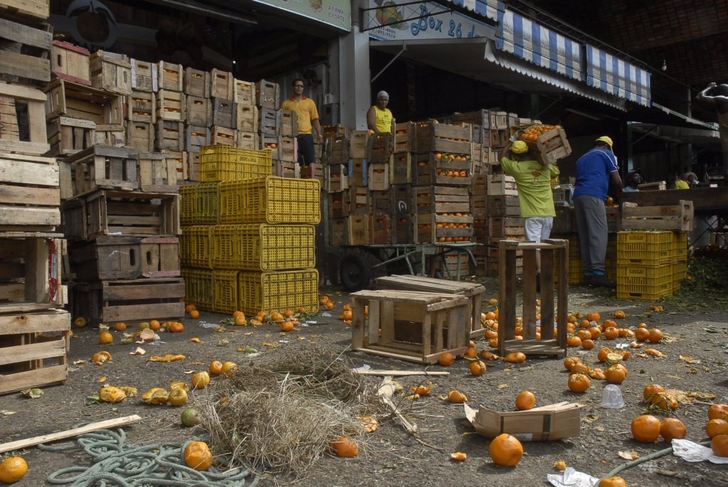 Desperdício de alimentos preocupa a FAO e o governo brasileiro. Foto: EBC