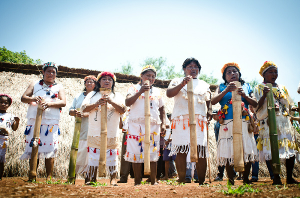 Comunidade indígena de Panambi pode voltar a sonhar com a demarcação de sua terraFoto: DIvulgção