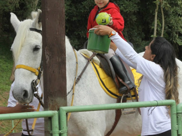 A prática terapêutica utiliza o cavalo dentro de uma abordagem interdisciplinar nas áreas de saúde, equitação e educação