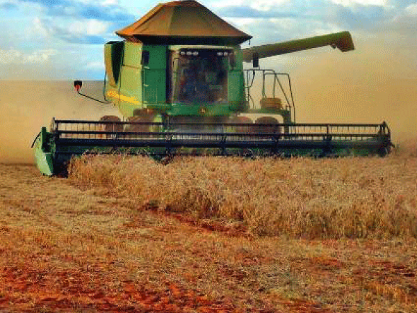 Mato Grosso do Sul colhe 8,5 milhões de toneladas de soja