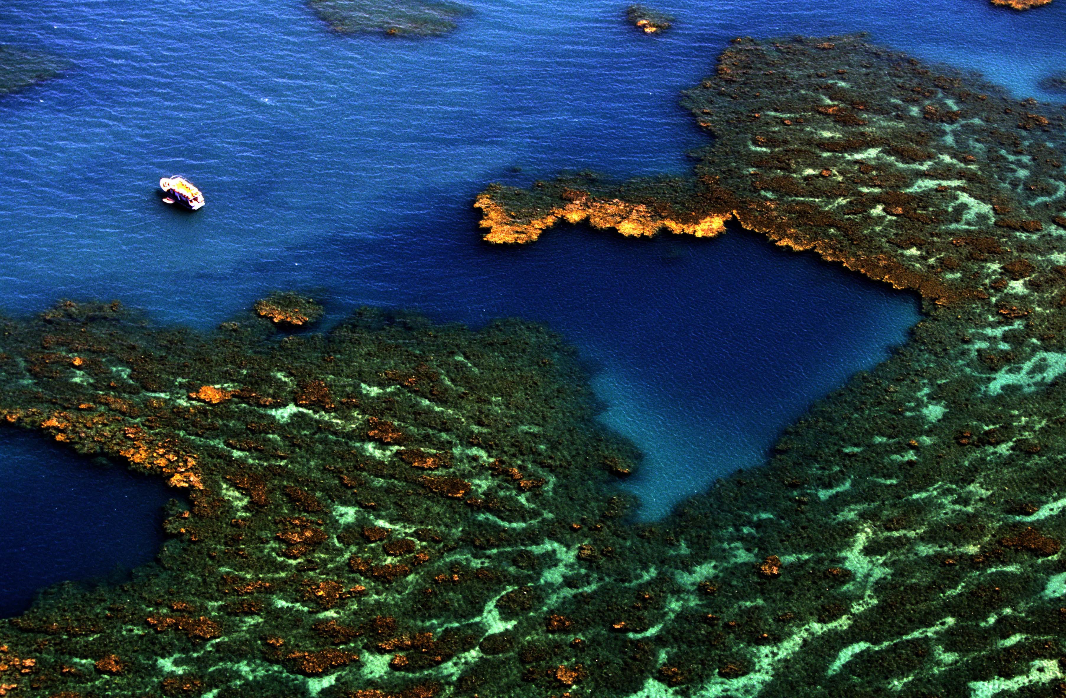 Recifes de corais no litoral brasileiro (Foto: Marcello Lourenço)