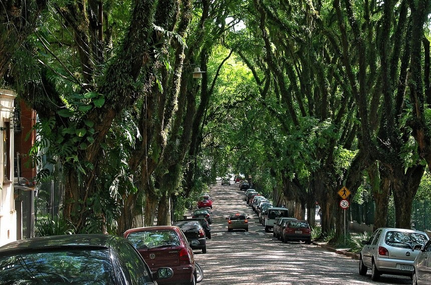 A arborizada rua Gonçalo de Carvalho, em Porto Alegre, apelidada de 