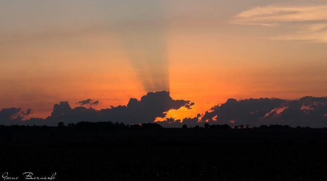 Segunda-feira de sol na maior parte de Mato Grosso do Sul