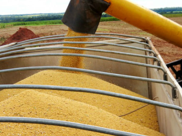 O quinto maior produtor de soja do país tem 95% da colheita da safra 2014/2015 concluídafoto - Famasul