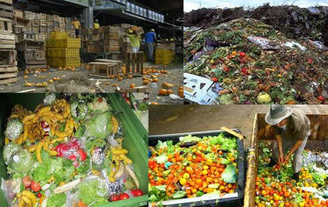 Um terço dos alimentos produzidos no planeta vai para o lixo, o que equivale a 1,3 bilhão de toneladas por ano. Com apenas um quarto deste total é possível alimentar os mais de 800 milhões de famintos no mundo. Foto: Divulgação