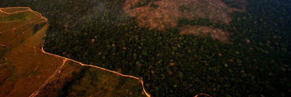 Emissão de gases estufa cresce 3,5% no Brasil; desmatamento é maior responsável