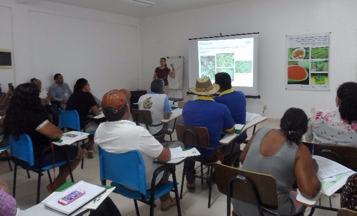 Participaram do curso agricultores e técnicos. - Foto: Jucelia Vidal