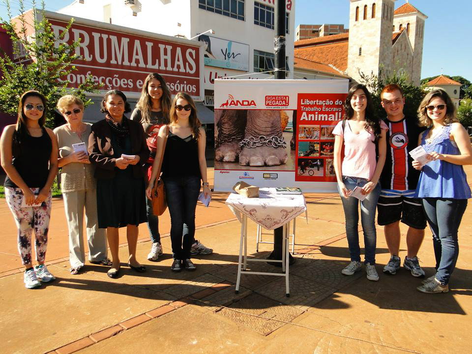 Protetores de animais em Dourados estão mobilizados pelo pedido de celeridade de colocar em votação a PL 7291/06Foto: Flávio Verão