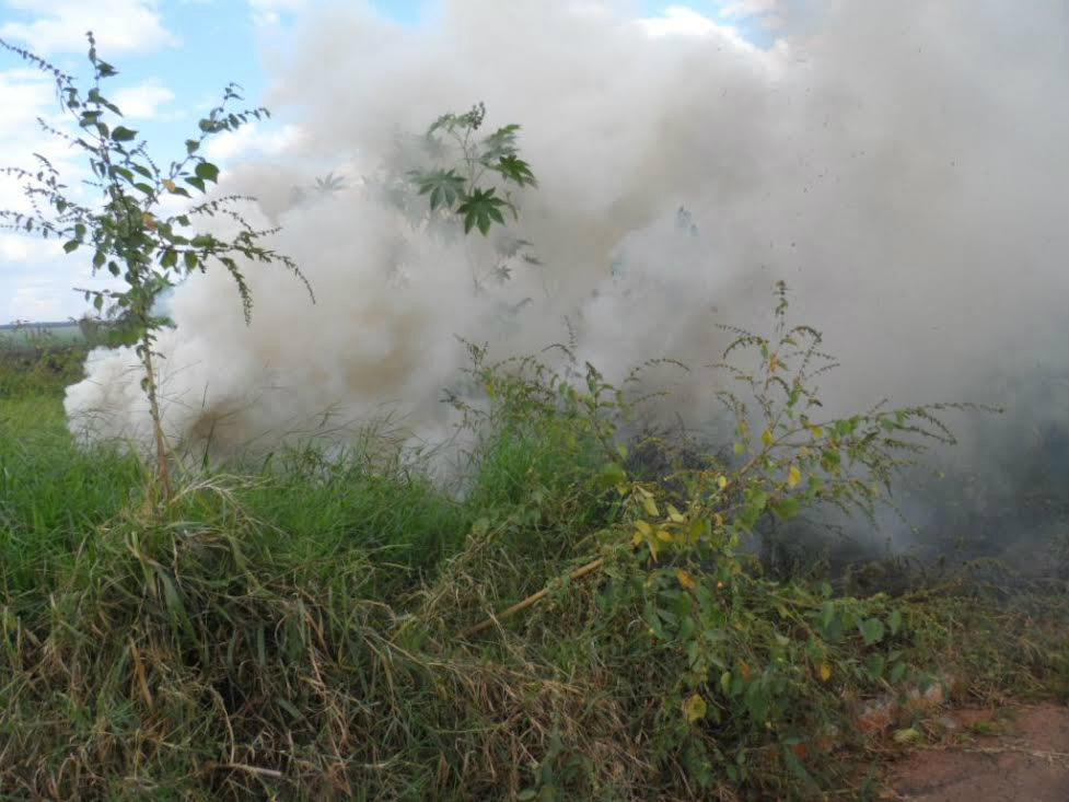 Incendiar terreno é crime ambiental. Foto: Divulgação/PMA