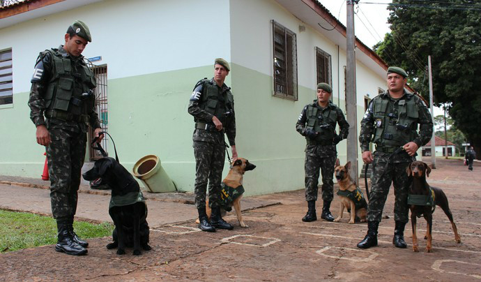 Cães farejadores vão ajudar as forças de segurança durante a Copa do Mundo (Foto: Hélder Rafael/G1MS)