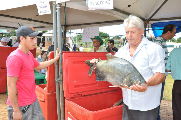 Venda de peixe na Feira Livre de Dourados será feita da mesma forma que ocorreu na Festa do Peixe. (Foto: A. Frota)