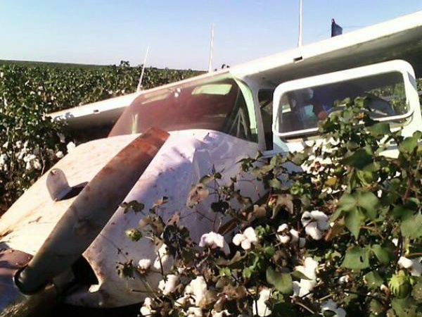 Avião caiu em lavoura de algodão em Rondonópolis. (Foto: PM/Divulgação)