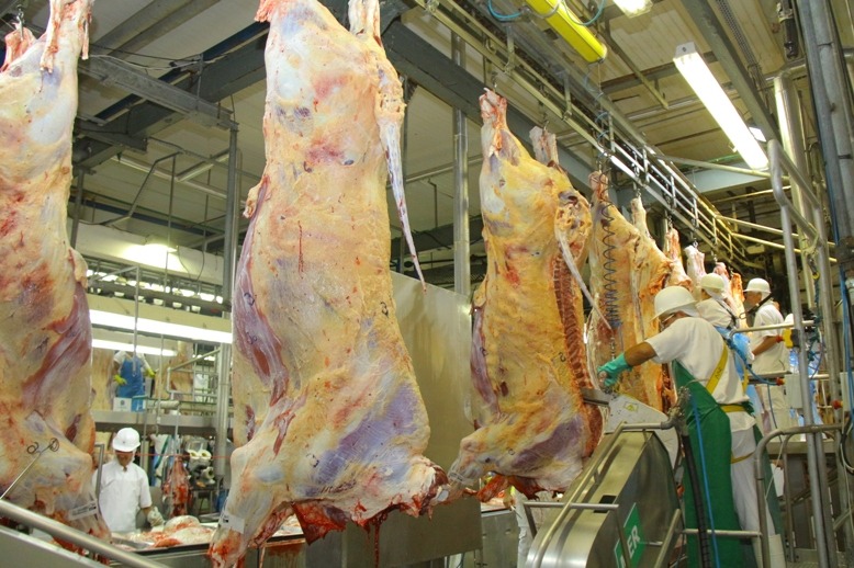 A carne bovina ampliou em 24,97% a participação na balança comercial, chegando a 16,45% entre janeiro e fevereiro deste ano. Foto: Kelly Ventorim