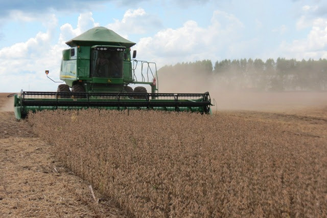 Em MS, 15% da soja plantada está pronta para colheita