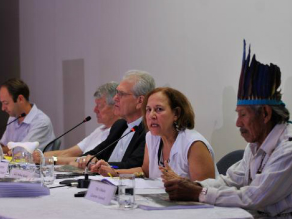 O Conselho Indigenista Missionário (Cimi) divulga o Relatório de Violência Contra os Povos Indígenas no Brasil - dados de 2014 (Antonio Cruz/Agência Brasil)