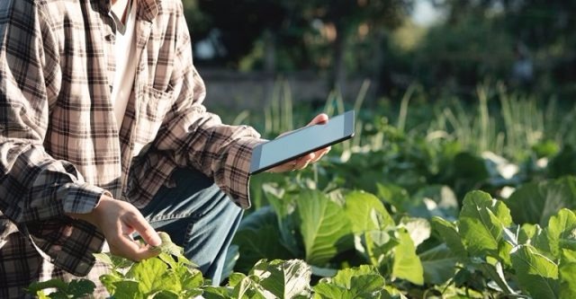Pesquisa do Sebrae mostra que 95% dos produtores rurais, dentre 4.467 entrevistados, têm aparelho celular e 60% estão conectados à internet. Foto: Divulgação