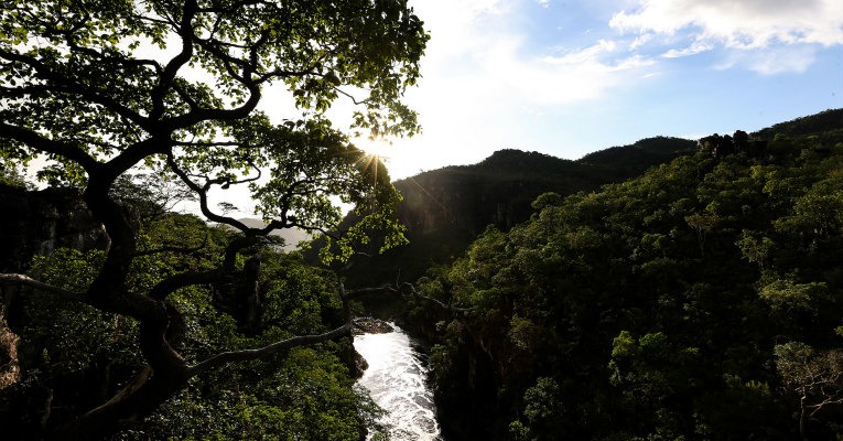  Foto: Marcelo Camargo/Agência Brasil Meio ambiente mais protegido! Áreas de conservação foram ampliadas nos últimos dois anos