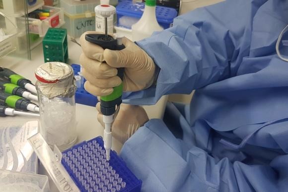 Após testes in vitro, pesquisa fará avaliação in vivo, ou seja, feita em um organismo vivoArquivo/Agência Brasil