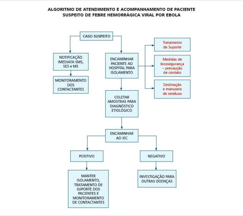Acesse a versão do algoritmo em PDF. (http://portalsaude.saude.gov.br/images/pdf/2014/agosto/05/fluxograma-ebola-2014.pdf)