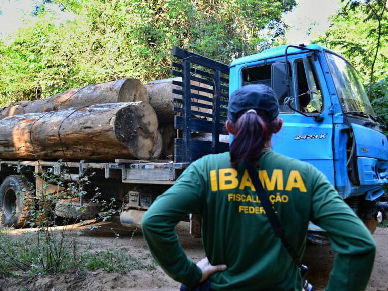 Desmatamento ilegal, principalmente na Amazônia, foi o crime ambiental mais cometido no Brasil no períodoVinícius Mendonça/Ibama