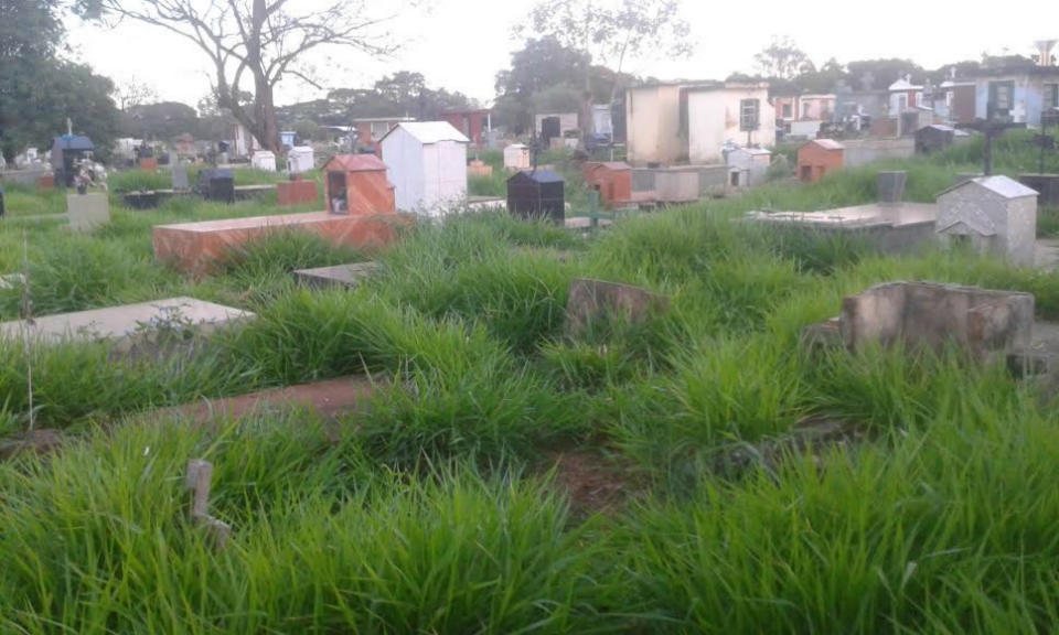 Cemitérios municipais estão tomados por lixo e criadouros