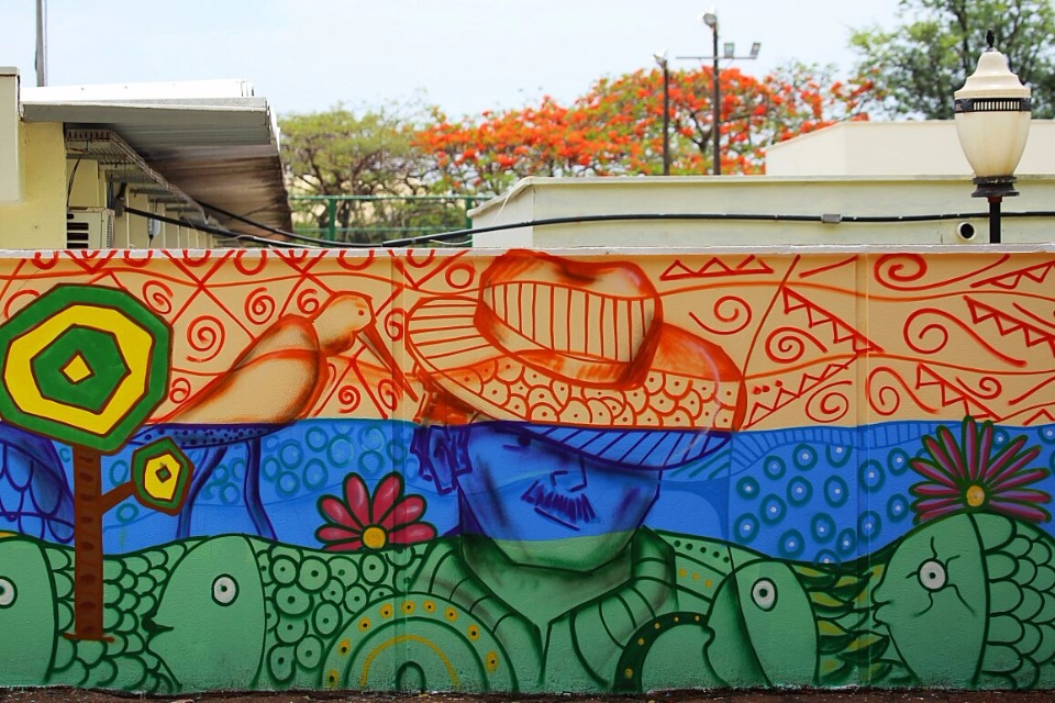 UFGD homenageia 40 anos de MS com grafite