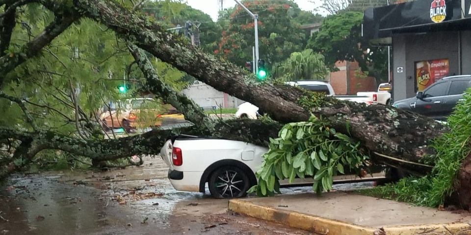 Forte chuva alaga ruas e derruba árvores em Dourados
