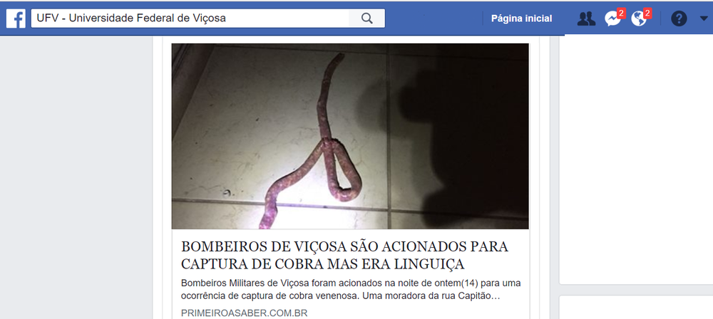 magem da linguiça encontrada em residência em Viçosa foi publicada por vários sites da cidade e região e compartilhada nas redes sociais (Foto: Reprodução/Facebook)