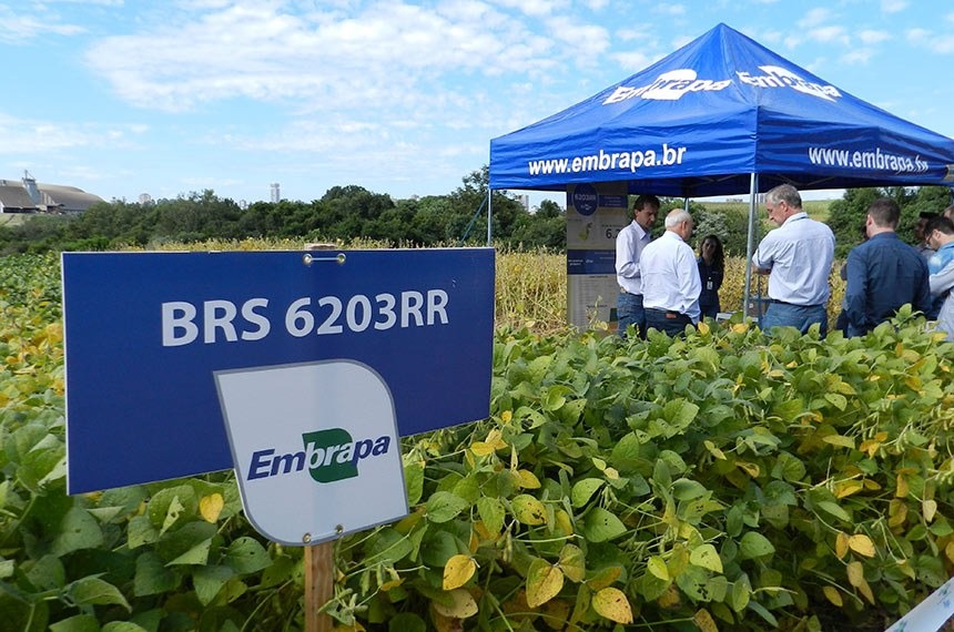 Lançamento de cultivar de soja com alta produtividade, indicada para áreas frias e úmidas, na Embrapa Trigo, em Passo Fundo (RS), em março de 2017Joseani Antunes/Embrapa