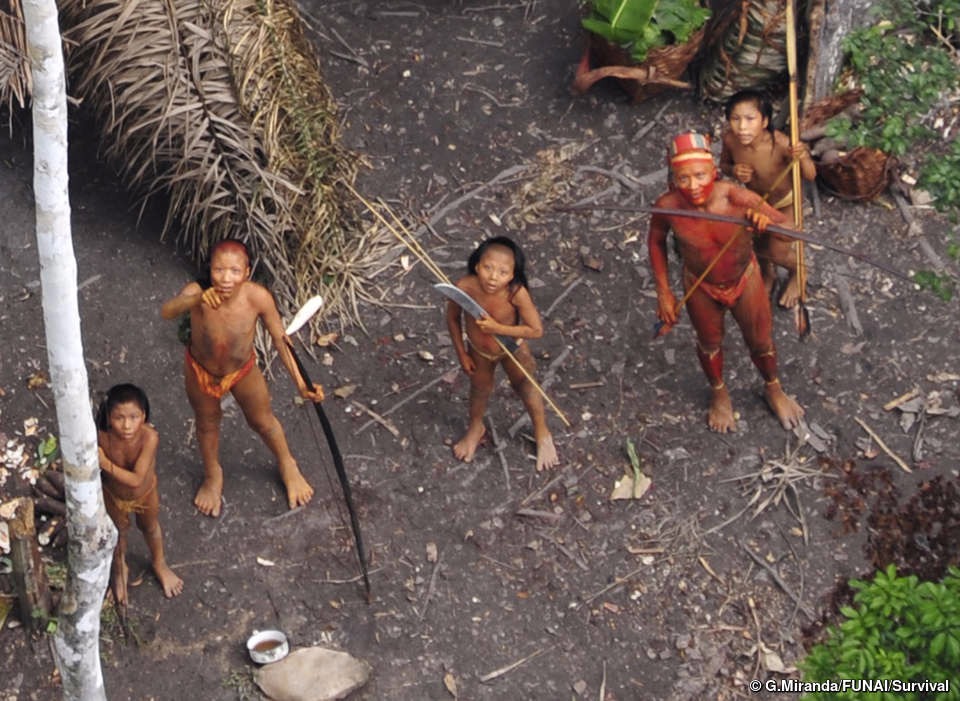 Tribos isoladas na Amazônia brasileira, imagem aérea em 2010. Foto: G.Miranda/FUNAI/Survival