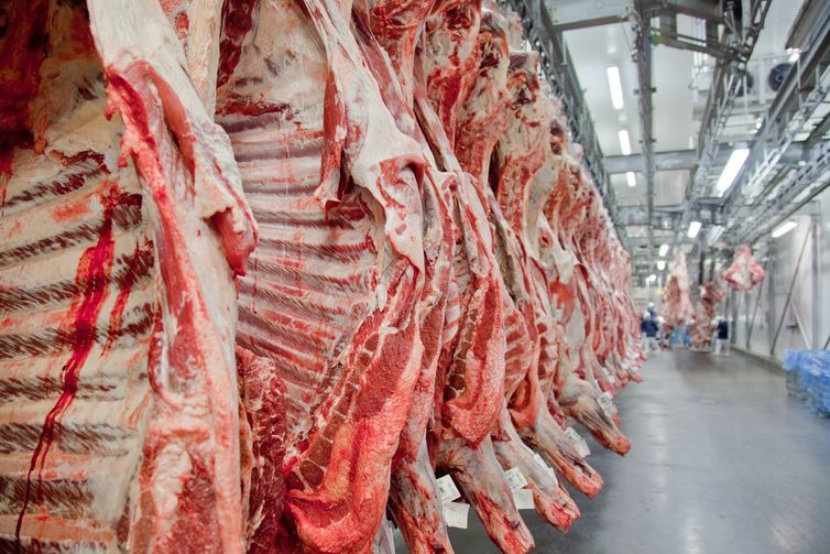Estados Unidos suspendem importações de carne fresca brasileira - Divulgação/Abiec