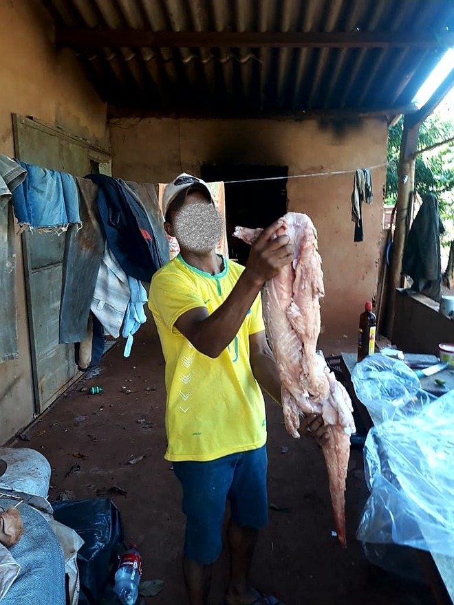 Homem postou foto da carne do jacaré no facebookFoto: PMA/Reprodução